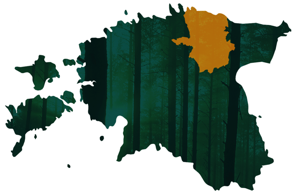 Rakvere Metsaühistu piirkond